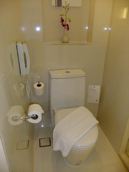 DSCF0011_resize.JPG